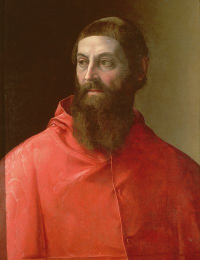 Kardinaal Rudolfo Pio, Bisschop van Faenza, 1528 door Francesco de Rossi Salviati Cecchino